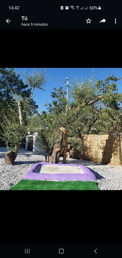 Casa Papi Villa Alcaucín Dış mekan fotoğraf